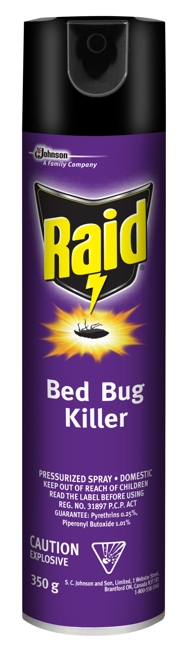 Raid Bed Bug Killer CS/12x350G.